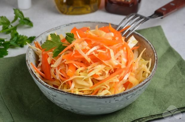Капустяний салат з морквою і болгарським перцем-простий і смачний рецепт з фото (покроково)