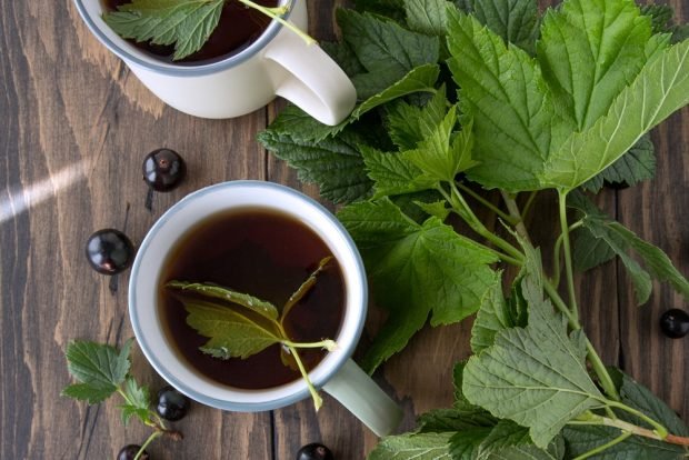 Чай зі смородиною і м'ятою – простий і смачний рецепт, як приготувати покроково